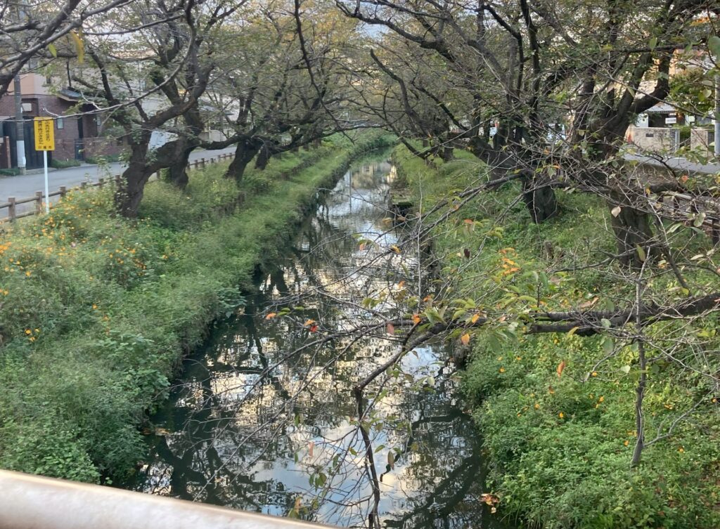 氷川橋【月がきれい聖地】